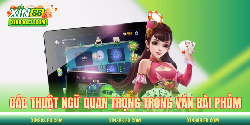 Các thuật ngữ quan trọng trong ván bài Phỏm online