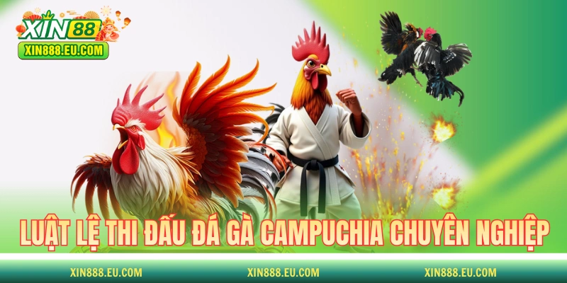 Luật lệ thi đấu đá gà Campuchia chuyên nghiệp