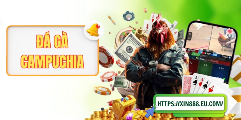 Đá Gà Campuchia - Cái Nôi Của Bộ Môn Chọi Kê Hiện Đại