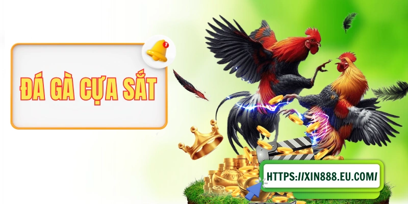 Đá Gà Cựa Sắt: Khám Phá A-Z Thông Tin Từ Cơ Bản Đến Nâng Cao