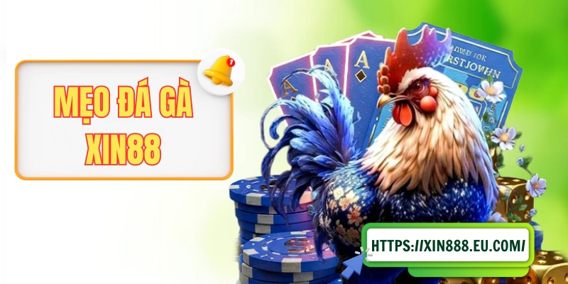 Mẹo Đá Gà XIN88 - Bí Quyết Truyền Lại Bởi Sư Kê Thâm Niên