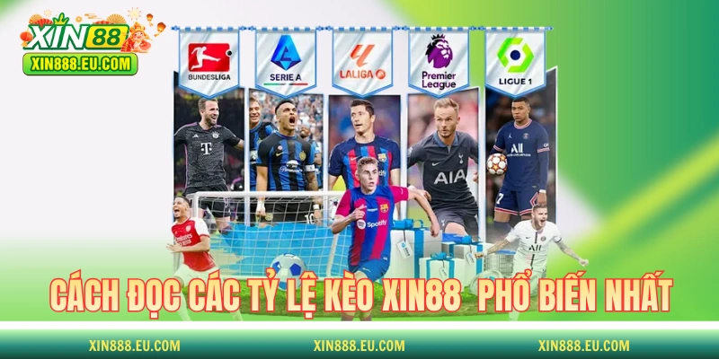 Cách đọc các tỷ lệ kèo XIN88  phổ biến nhất